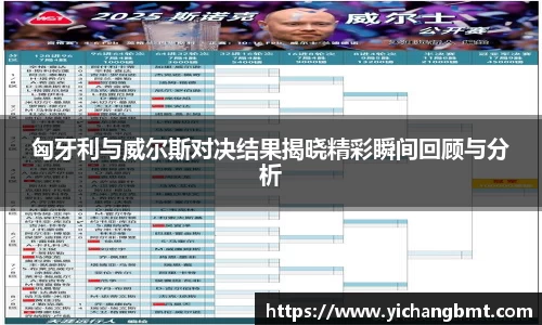 匈牙利与威尔斯对决结果揭晓精彩瞬间回顾与分析