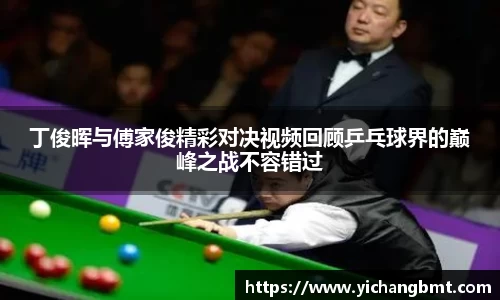 JN体育