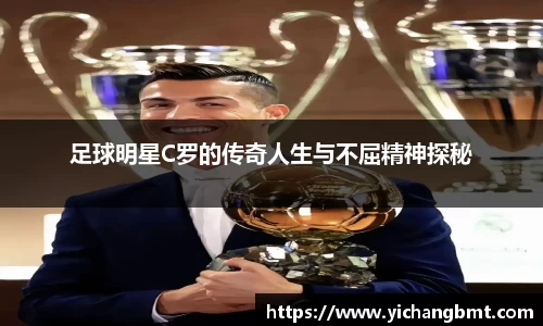 jn江南·体育登录入口