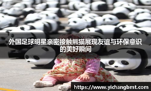 外国足球明星亲密接触熊猫展现友谊与环保意识的美好瞬间