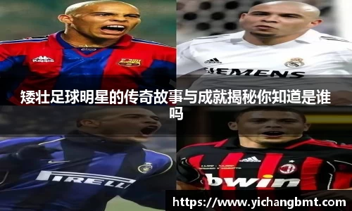 jn江南·体育登录入口