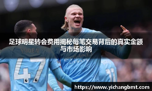 足球明星转会费用揭秘每笔交易背后的真实金额与市场影响